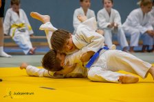 22.06.2024 Wachau JUDO Kids Cup